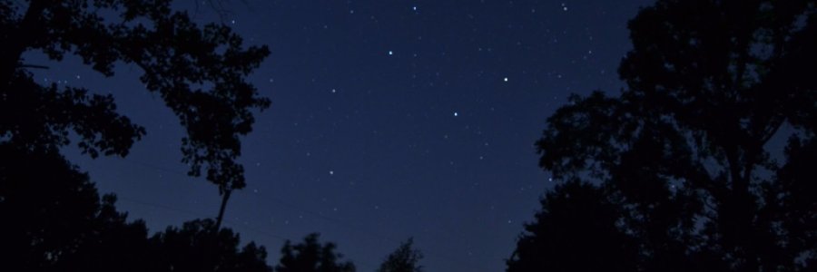 Cover image for post Untitled, by misty