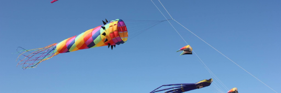 Cover image for post Sweet Endless Beach, by sandflea68