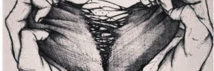 Cover image for post TORN, by cassiopea