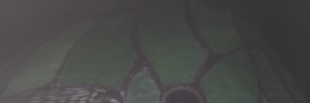 Cover image for post Tamed, by vfoust