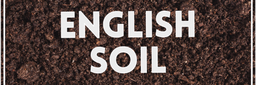 Cover image for post English Soil, by JairoChacon