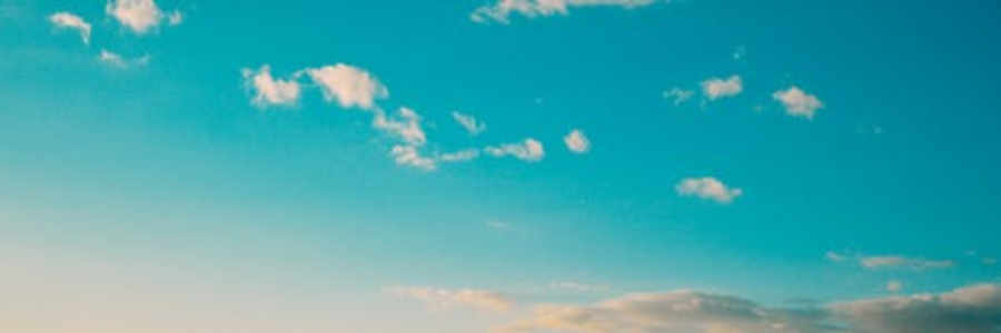 Cover image for post my moment, by IvyBee