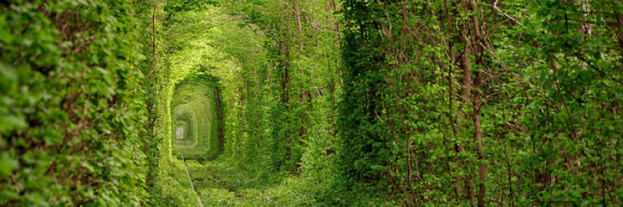 Cover image for post The World in 15 words..., by n311ys