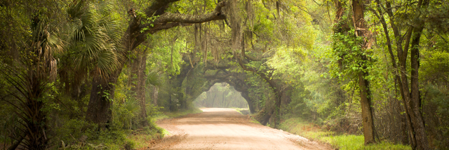 Cover image for post Quick, by Tereza