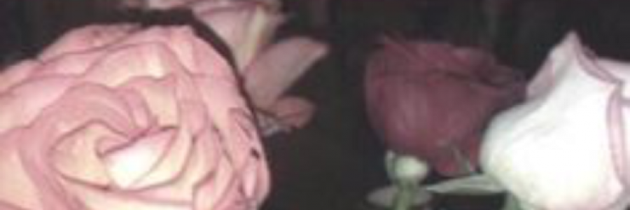 Cover image for post it’s happening again, by alyssia