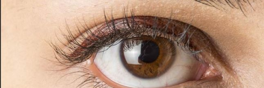 Cover image for post Hindsight, by ruffmiriam