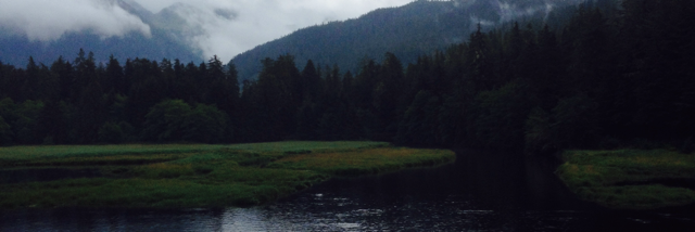 Cover image for post glass imbedded in the heels of my feet, by artemis