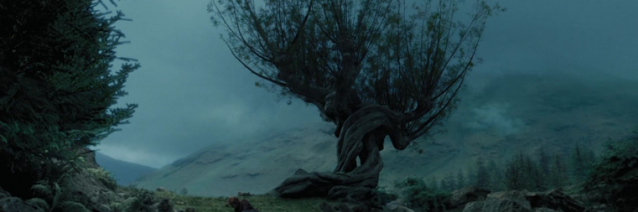 Cover image for post willow, by anarosewood