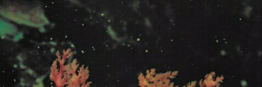 Cover image for post creating a millieu of Heart + but you got to open to it of your own accord, by wecravebeauty