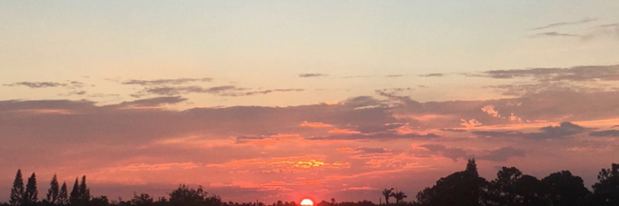 Cover image for post Pursuit., by Jnuior