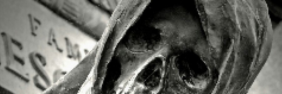 Cover image for post Good Mourning, by Mpgsr