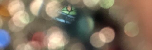 Cover image for post Tamed2, by vfoust