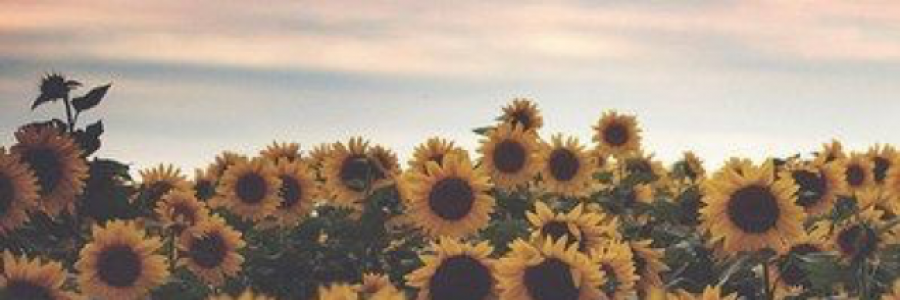 Cover image for post Pantuom Poetry, by Kellianne