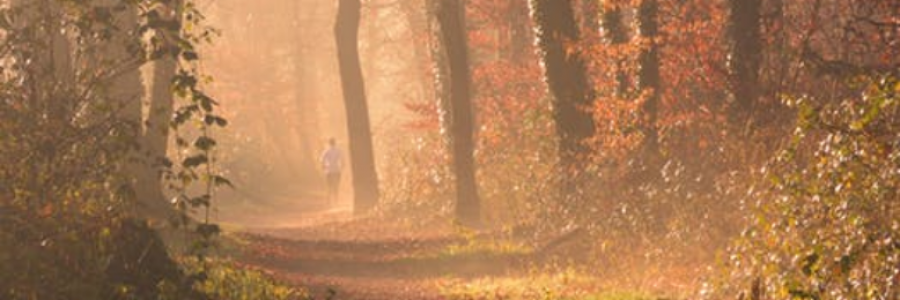 Cover image for post Details In The Fabric -Jason Mraz, by IvyBee