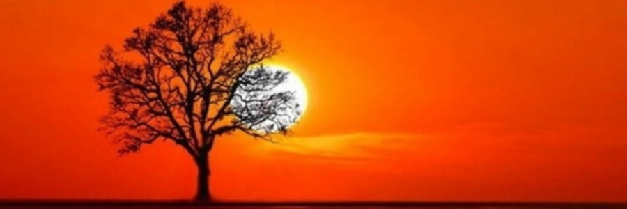 Cover image for post Autumn Leaves, by Mtrubenfire