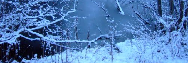 Cover image for post Winter, by julieangevine