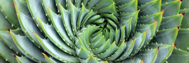 Cover image for post Eternal, by RiverStarr