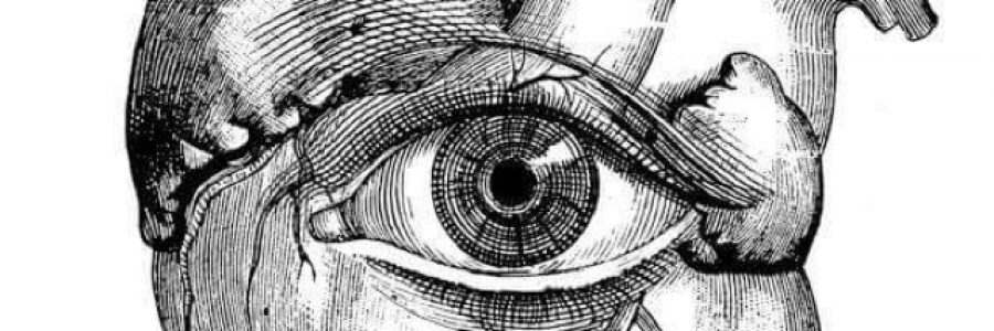 Cover image for post The Freudian Heart, by paintingskies