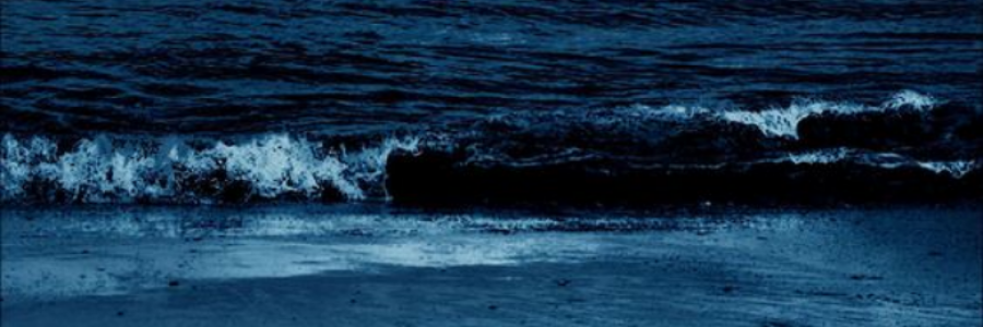 Cover image for post In my thoughts, by anarosewood