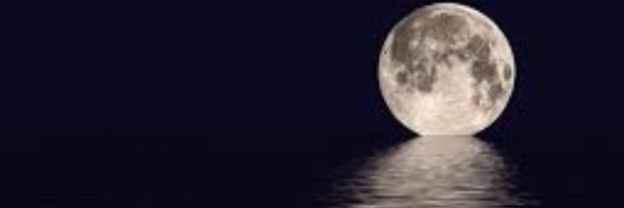 Cover image for post Reflections, by sandflea68