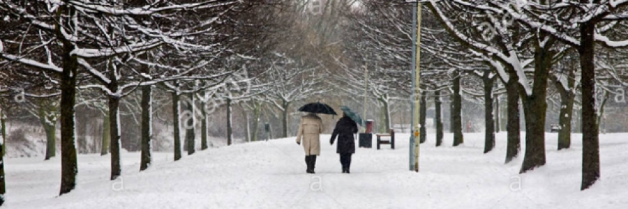 Cover image for post Those Happy moments, by PhoenixPilot