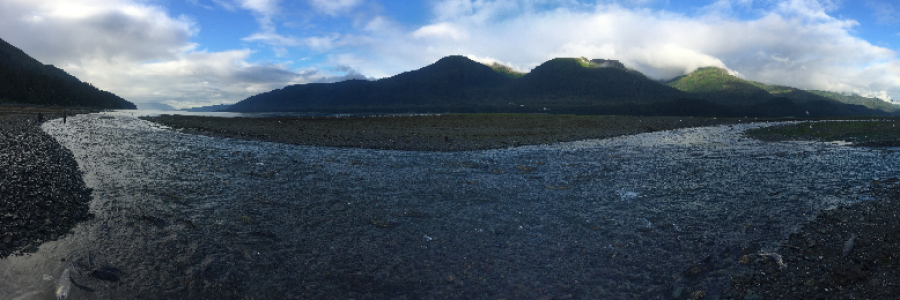 Cover image for post Coho, by northernlight