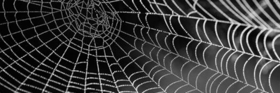 Cover image for post Indifference, by IvyBee