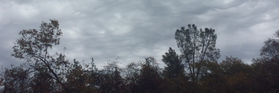 Cover image for post Let Go, by Just_bear_bones