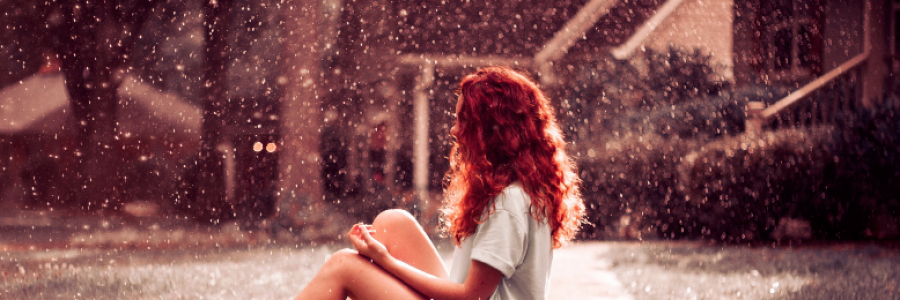 Cover image for post Winter Wonders, by CarpeNoctem