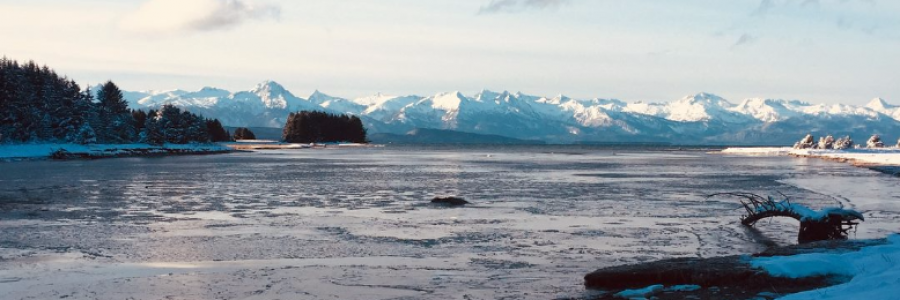 Cover image for post Rainforest Winter, by northernlight