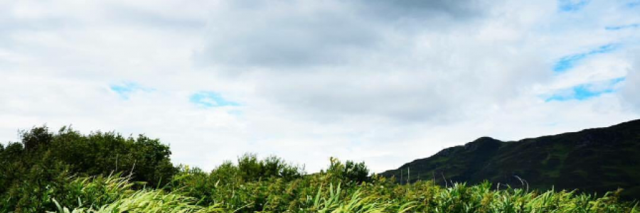 Cover image for post She Watches the Sun, by ToDream