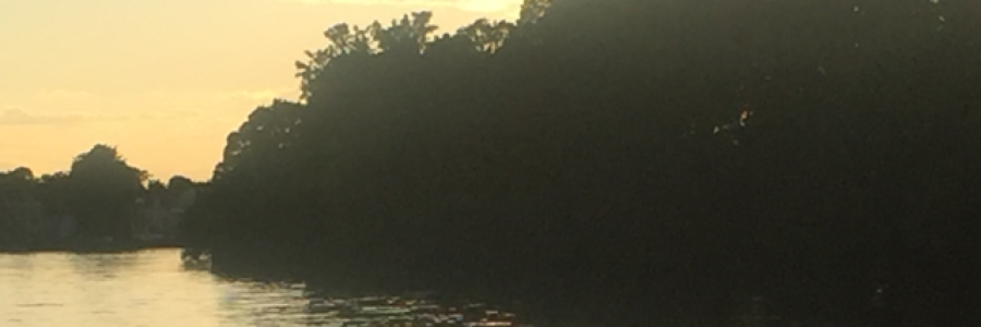 Cover image for post Wish-Fool, by Erilivion