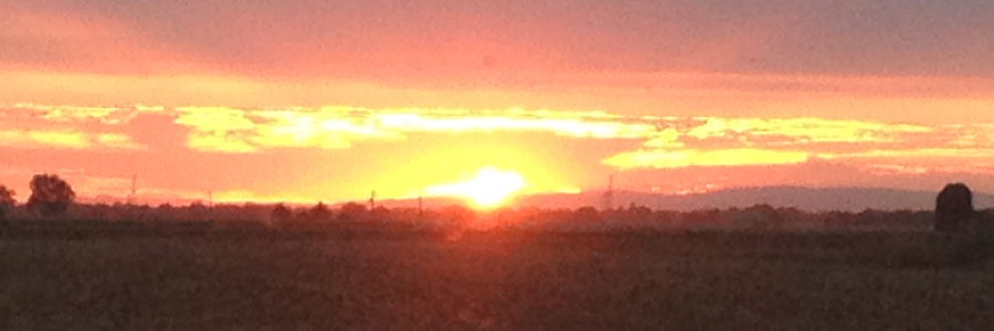 Cover image for post The Painter, by AmandaPhoenix