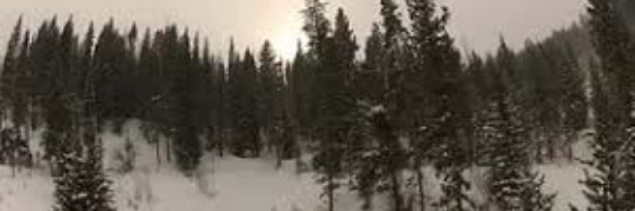 Cover image for post Soul Robber, by sandflea68