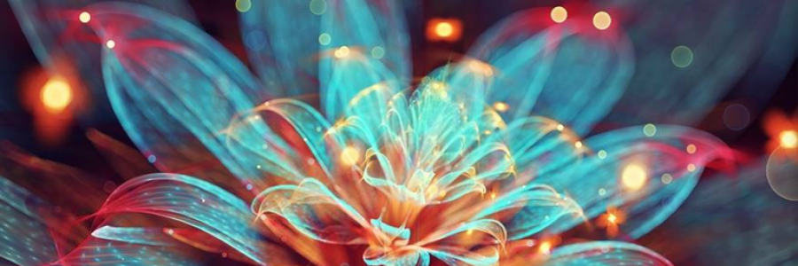 Cover image for post W a n d e r e r, by anarosewood