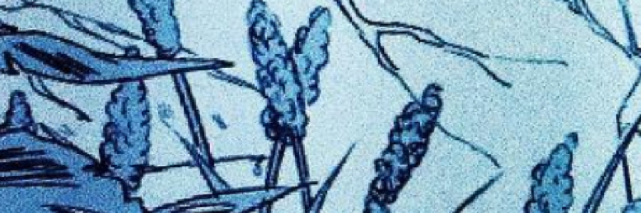 Cover image for post Untitled, by misty