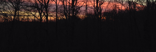 Cover image for post Fields of Ashe, by MrsMetaphor