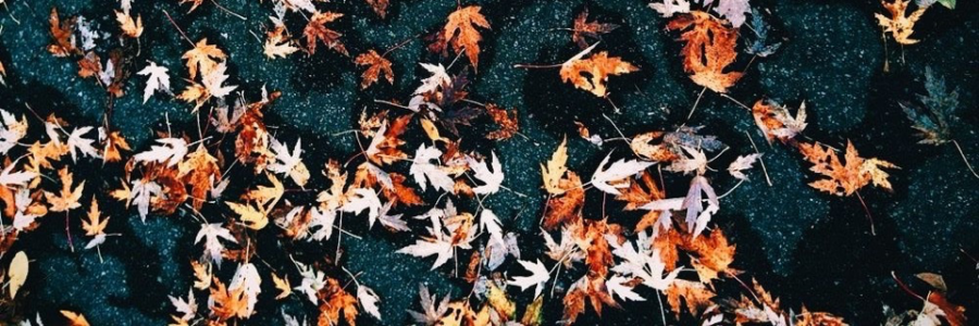 Cover image for post A Letter to my X, by HKobe