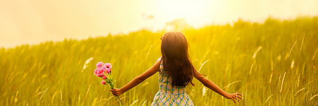 Cover image for post Taylor.., by Tereza