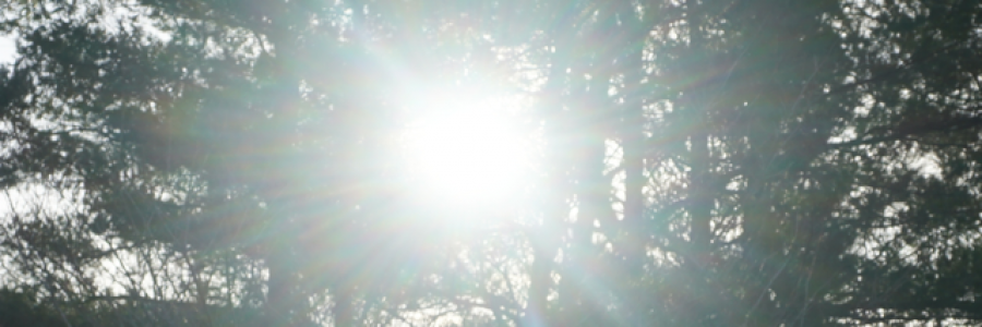 Cover image for post You know things are no longer normal when..., by Ken_W_Writer