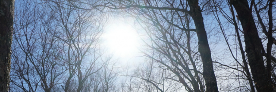 Cover image for post When life gives you lemons...., by Ken_W_Writer