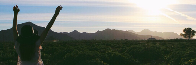 Cover image for post Dear Kaytlin, by eddy23