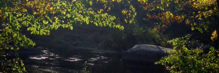 Cover image for post Morning Routine, by Quiksilvr