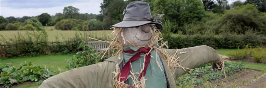 Cover image for post The Scarecrow, by MikeHammond