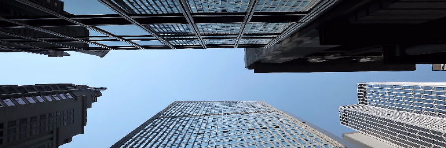 Cover image for post Mr. Tall, by journe