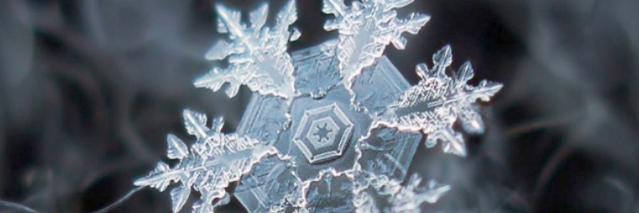 Cover image for post winter's snow, by anarosewood