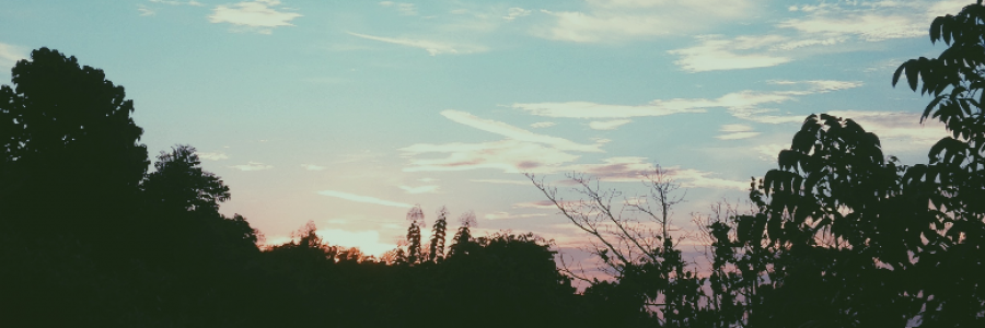 Cover image for post Blinding Reverie, by Dimasalang