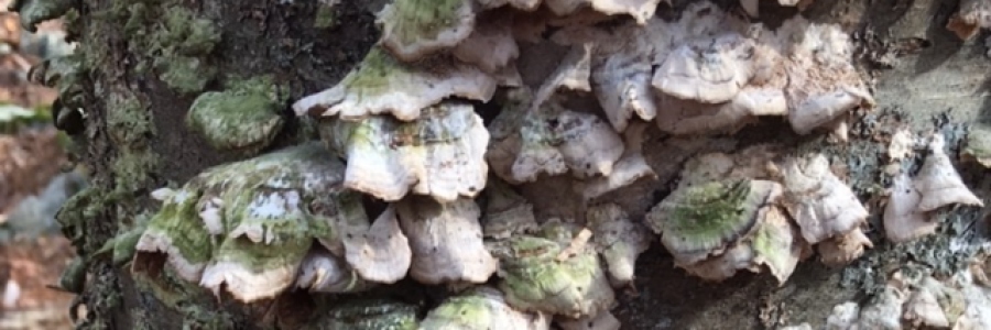 Cover image for post Missing Monday, by Ken_W_Writer