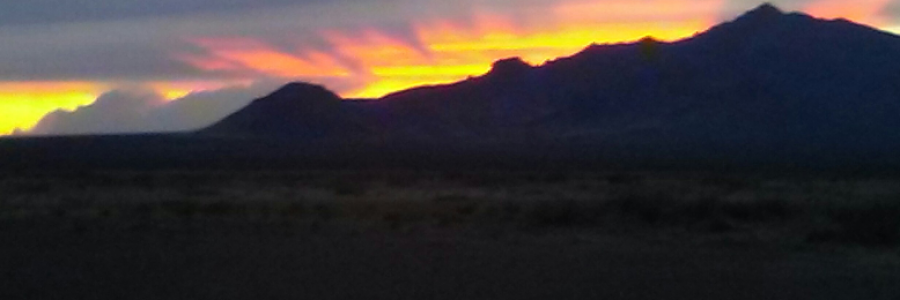 Cover image for post Crushed Heart, by RikkiSage