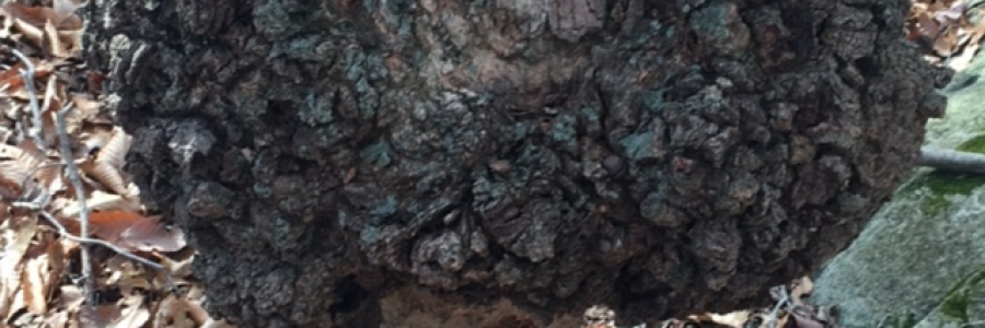 Cover image for post Space, by Ken_W_Writer